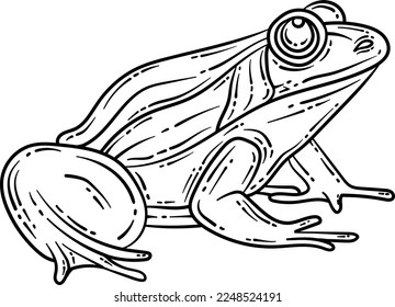 Frog Spring Coloring Page for Adults