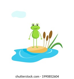 A frog stands on the sand. Vector illustration in cartoon style.