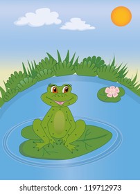 Frog in swamp