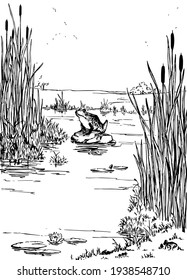 A Frog In A Swamp, Vintage Line Drawing Or Engraving Illustration.