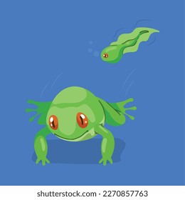 frog and tadpole amphibians animals