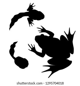 Frog and  tadpoles silhouettes collection. Black and white set. Hand drawn vector set of pond animals.