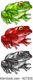 Frog in three different colors illustration