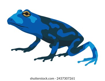 Rana o sapo, animal anfibio. Tipo de rana. Reptil tropical exótico. Ilustración vectorial plana sobre fondo blanco