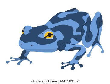 Rana o sapo, animal anfibio. Tipo de rana. Reptil tropical exótico. Ilustración vectorial plana sobre fondo blanco