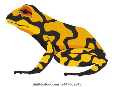 Rana o sapo, animal anfibio. Tipo de rana. Reptil tropical exótico. Ilustración vectorial plana sobre fondo blanco