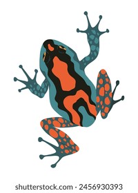 Rana o sapo, animal anfibio. Tipo de rana. Reptil tropical exótico. Ilustración vectorial plana sobre fondo blanco