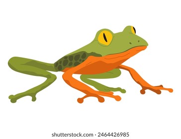 Frosch oder Kröte, Amphibientier. Art des Froggy. Exotisches tropisches Reptil. Flache Vektorillustration auf weißem Hintergrund