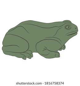 Frog or toad in profile. Monochrome green silhouette.