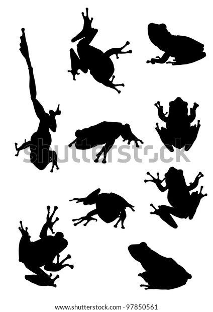 Frog Tree Frog On Papyrus Tree Stock Vector (Royalty Free) 97850561 ...