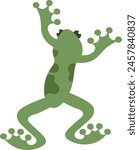 Frog Tropical Reptile Vector Illustration