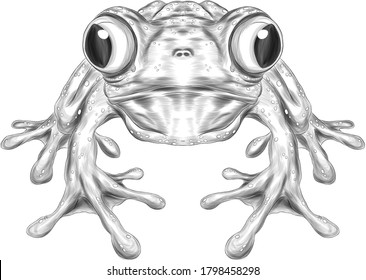 frog tropical vector illustration black and white coloring cartoon funny