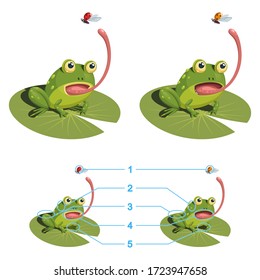 The frog is trying to catch a ladybug with its tongue. Find the five differences between the two pictures. Children's game picture is a riddle with a solution below.