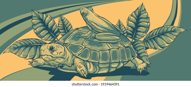 Frog and Turtle vector illustration graphics art