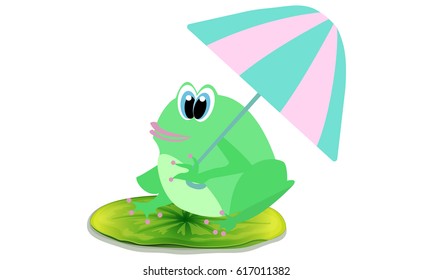 Frog and umbrella Illustration