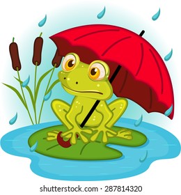 frog under umbrella - vector illustration, eps