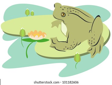 frog vector