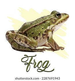 Frog Vector Art, Graphics and Stock Illustrations svg