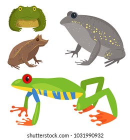 Frog vector cartoon tropical wildlife animal green froggy nature funny illustration toxic toad amphibian.