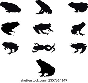 A frog vector design is a scalable graphic of a frog, ideal for resizing without quality loss. It's used in designs like logos and illustrations, symbolizing adaptability and nature.