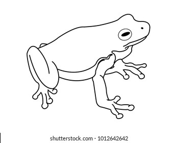 Frog Line Drawing Images, Stock Photos & Vectors | Shutterstock