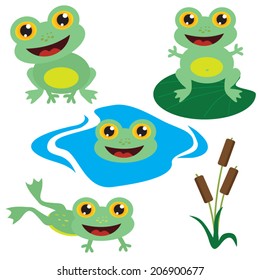 Frog vector illustration