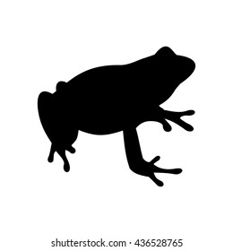 Frog Vector Illustration Stock Vector (Royalty Free) 436528765 ...