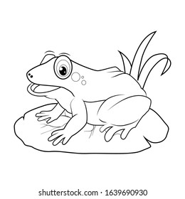 Frog Vector Illustration Of Animal Coloring Page