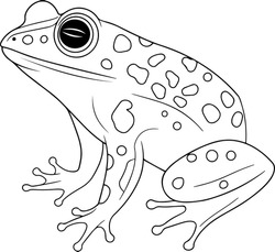 Frog Vector Illustration. Black And White Frog Coloring Book Or Page For Children