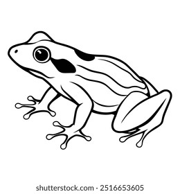 Frog vector illustration editable file.