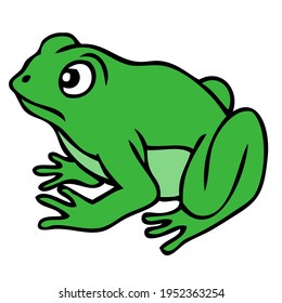 Frosch, Vektorgrafik,
einzeln auf weißem Hintergrund.Draufsicht
