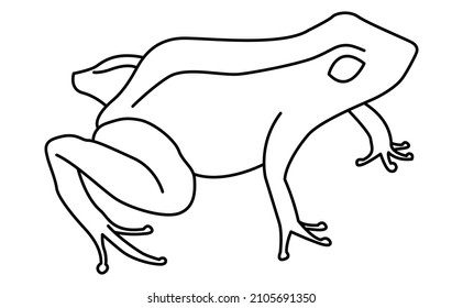 frog vector illustration isolated on white background