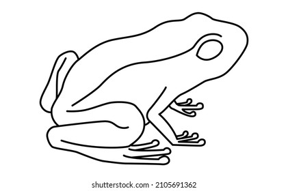 frog vector illustration isolated on white background