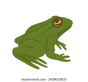 Ilustración vectorial de rana aislada sobre fondo blanco. Símbolo animal, zoología de los anfibios. 