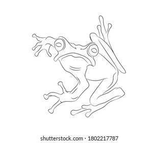 frog vector illustration  line drawing  vector  white background