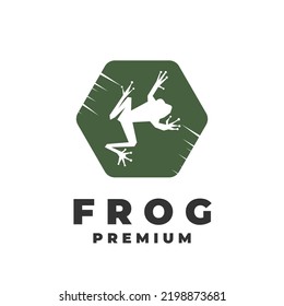 Frog vector illustration logo with green hexagon