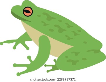 ilustración de frog Vector en un fondo transparente. Símbolos de calidad premium.  Iconos para concepto y diseño gráfico.