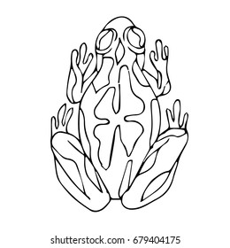 Frog vector illustration on white background. Doodle style. Design icon, print, logo, poster, symbol, decor, textile, paper, card. 