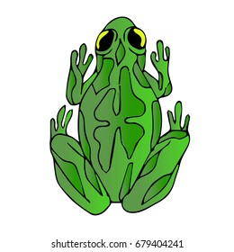 Frog vector illustration on white background. Doodle style. Design icon, print, logo, poster, symbol, decor, textile, paper, card. 