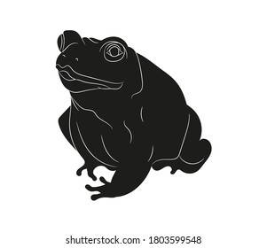 frog vector illustration, silhouette drawing, vector, white background