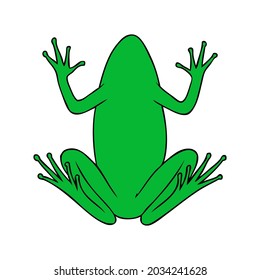frog vector illustration,isolated on white background,top view