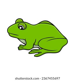 ilustración vectorial de rana, aislada en fondo blanco, vista superior