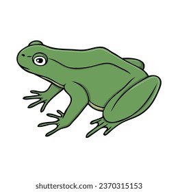 frog vector illustration,isolated on white background,top view