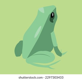 Frog  vector image or clipart