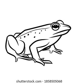 Frog Vector Line Art Style You Stock Vector (Royalty Free) 1858505068 ...