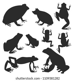 Frog vector silhouette cartoon tropical wildlife animal green froggy nature funny illustration toxic toad amphibian.