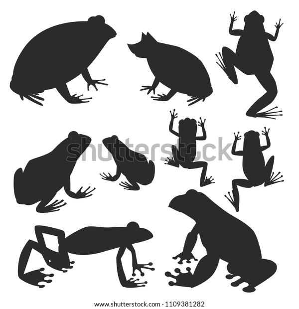 Frog Vector Silhouette Cartoon Tropical Wildlife Stock Vector (Royalty ...