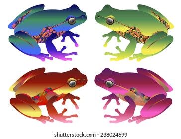 frog vector toad green small illustration color