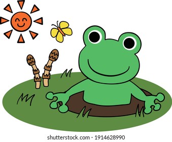Frog wakes up from hibernation