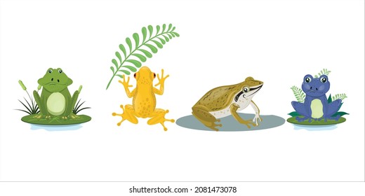 frog wild animals icons sets colored cartoon sketch